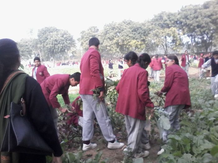 Farm excursion to Sohna for middle school.