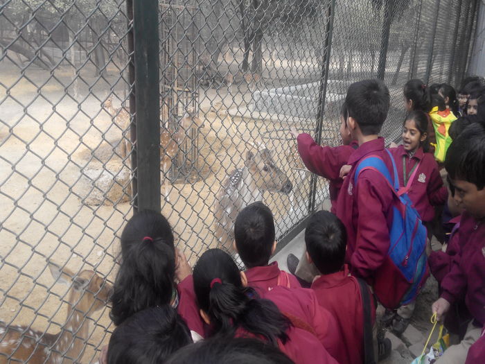Visit to the Deer Park, class 1.