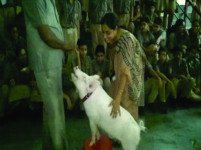 Workshop on Animal Rights for Environment Week. 