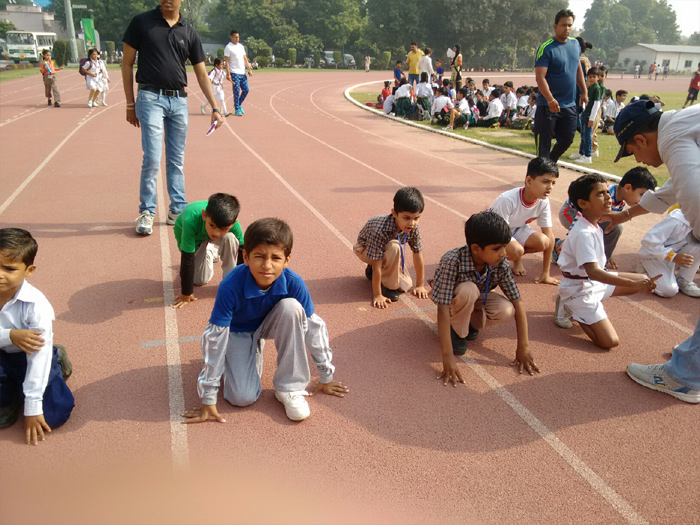 Bag of laurels at Primary Zonal Athletics' Meet 2015.