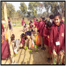 Visit to Sohna Farm