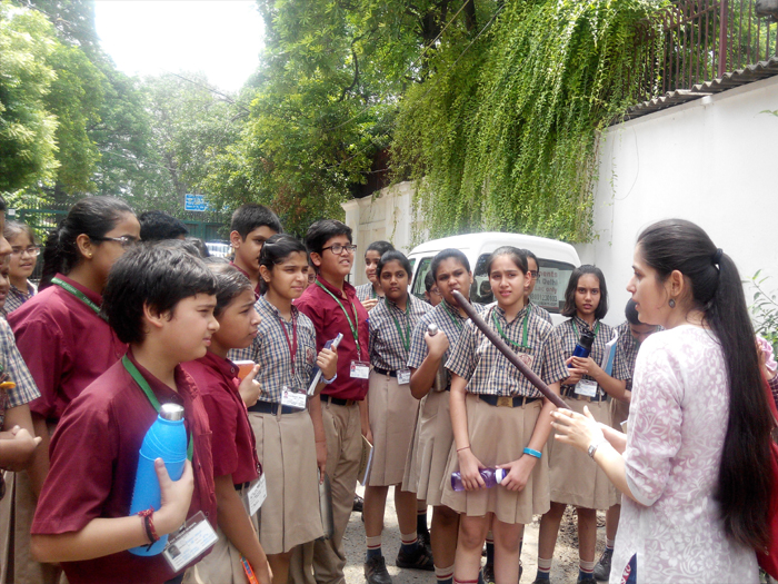 Nature Walk during Environment Week, classes 7 and 8.