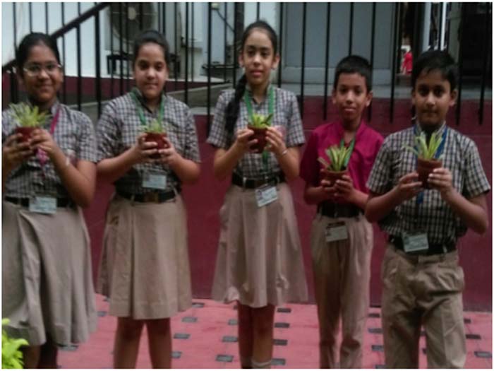 Tree Planting Drive by School Eco Club.