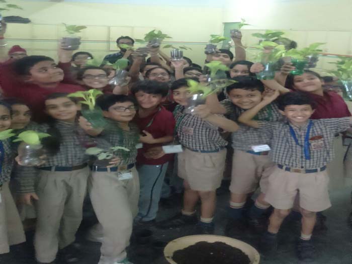 Urban Gardening Workshop