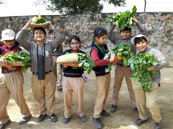 Learning science in play at the School Eco Park- class 5.