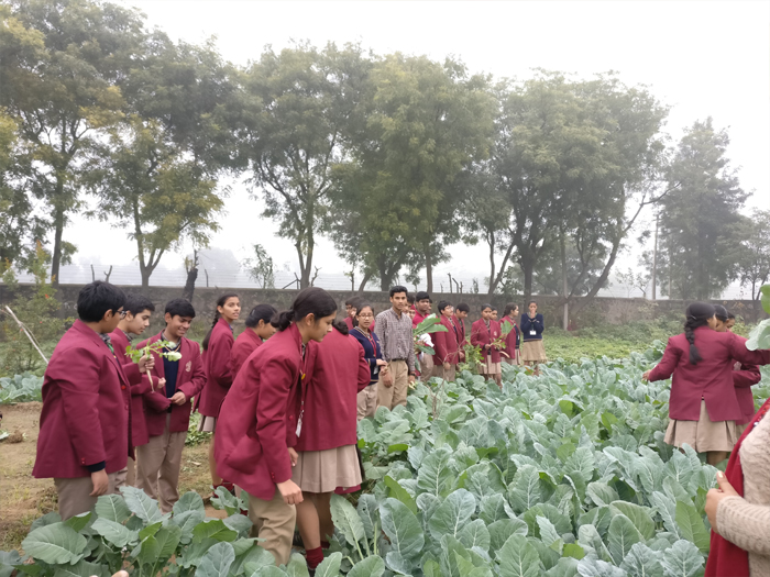 Class IX excursion to the School eco park.