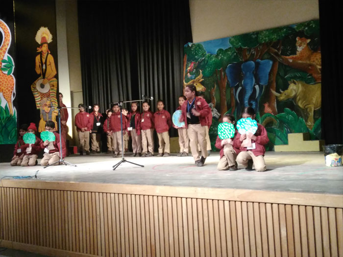 Special Assembly on Saving the Earth by class 1D