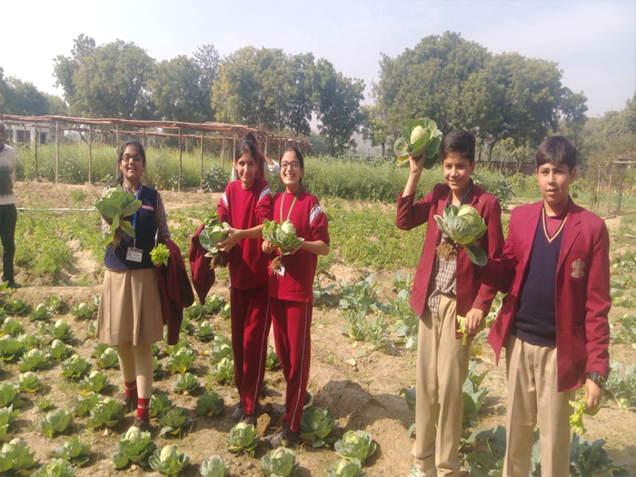 Class VII excursion to the School eco park
