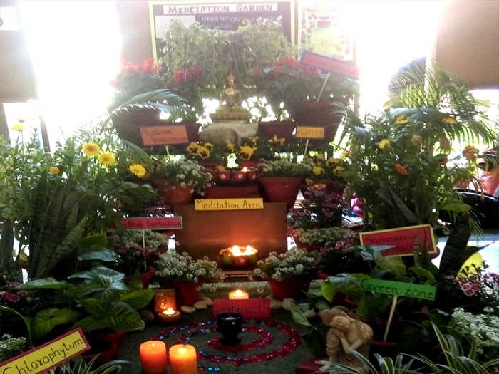 Garden competition