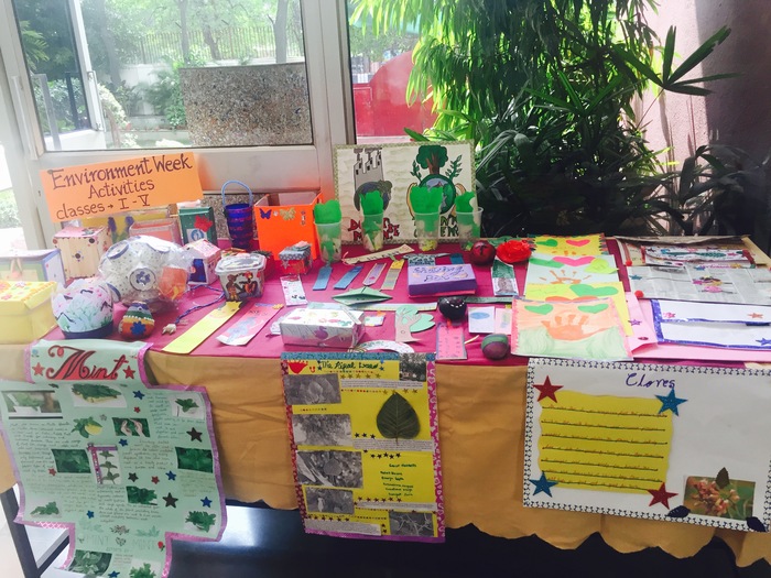 Environment Week in Primary, 10th to 14th July, 2017