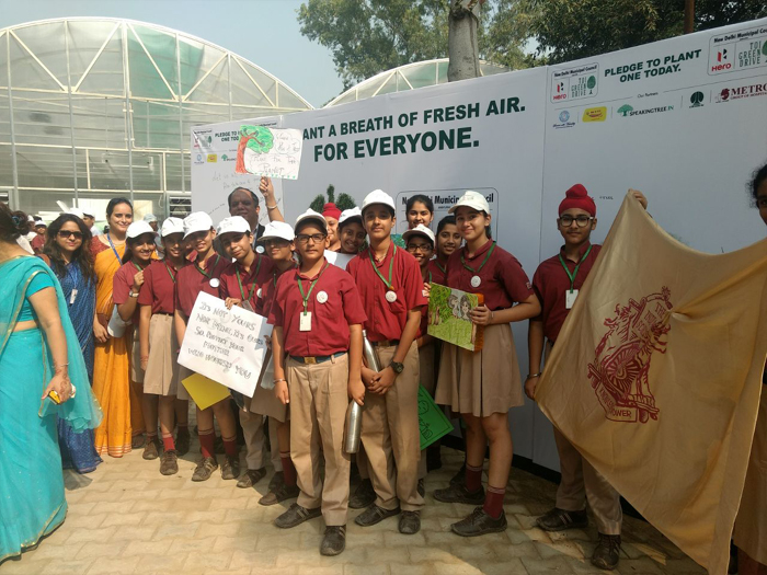 Plantation Drive-A taste of tree planting