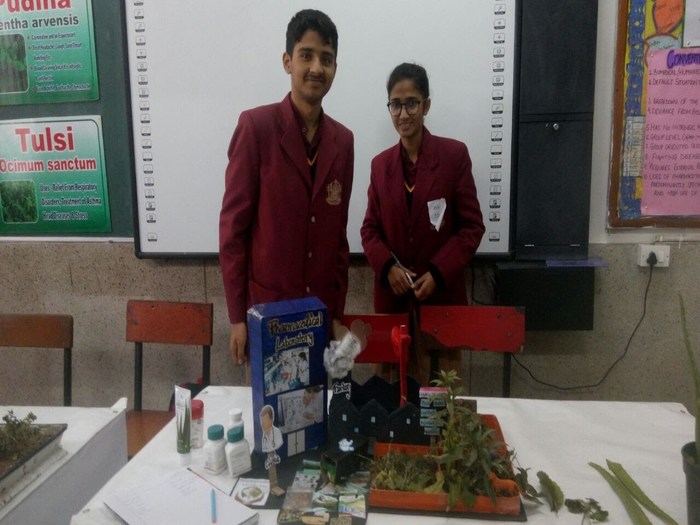 CBSE Regional Level Science Exhibition 2017-18