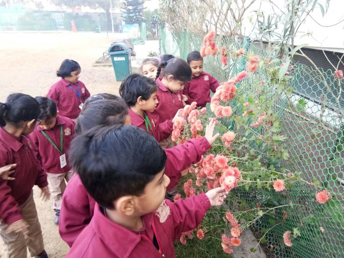 Nature activities in Pre primary