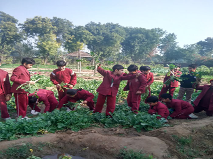 Excursion to School eco park