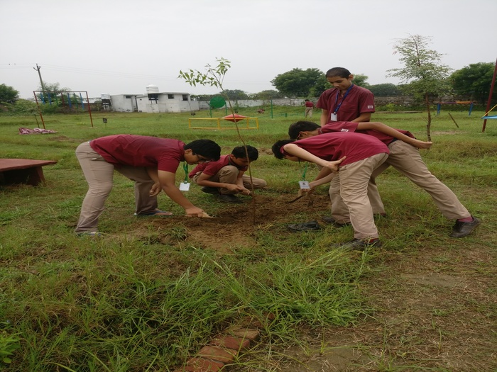 Class 8 visit the School eco park