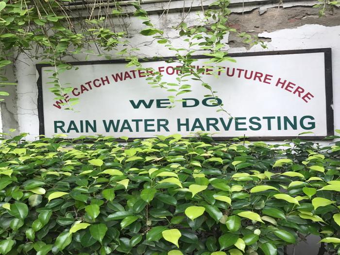 Observing rain water harvesting at School- class 7C