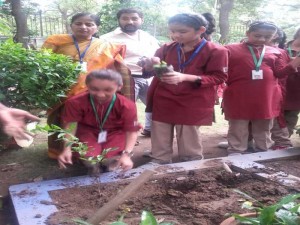 Annual Vanmahotsav celebrations 