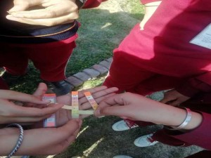 Visit to the School eco park for classes 6 and 7
