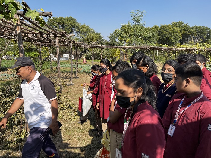Excursion for class 9 to the school eco park  
