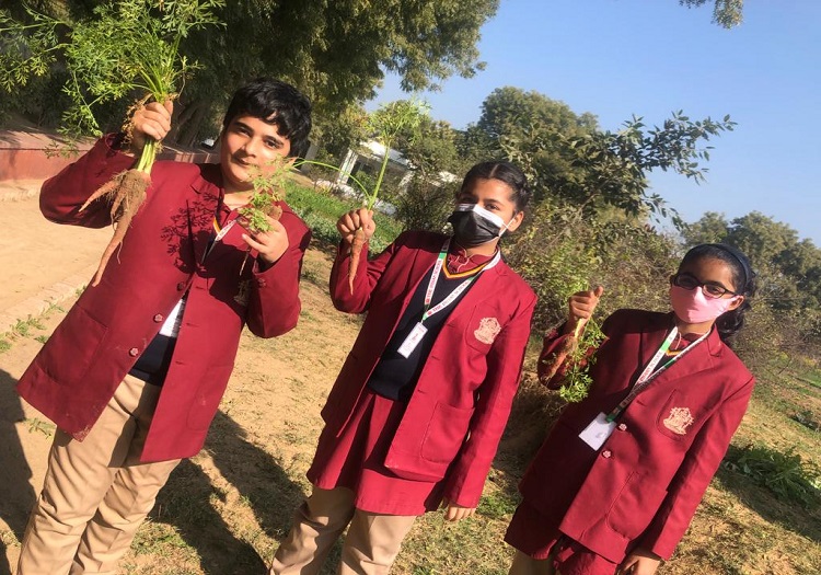 Class 6 visits the School eco park